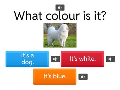  What is this? What colour is it?