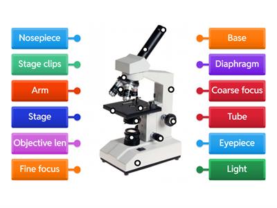 2025 Labeling Microscope
