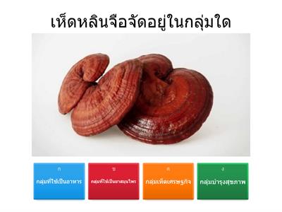 การจำแนกประเภทของเห็ด