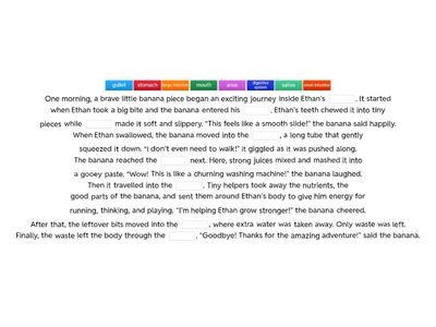 DIGESTIVE STORY: The Adventure of the Brave Banana