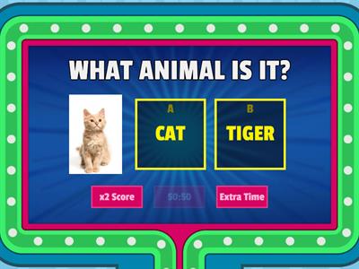 ANIMALS