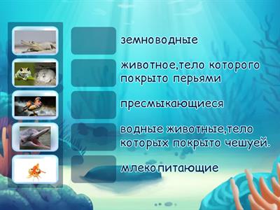 мир вокруг нас