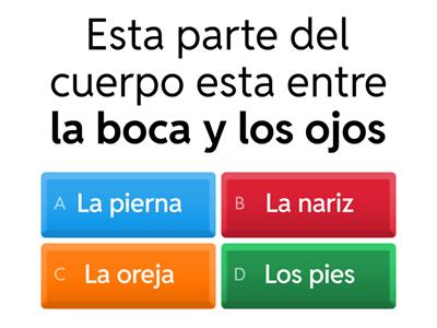 El Cuerpo - descripciones