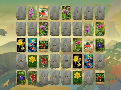 Найди пару, цветы