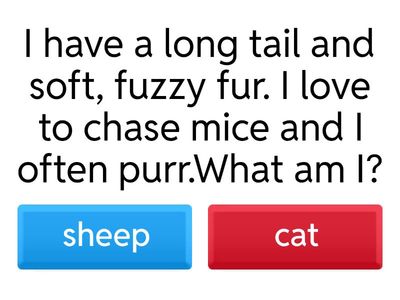 start - sun2 - Unit 4: Vocabulary