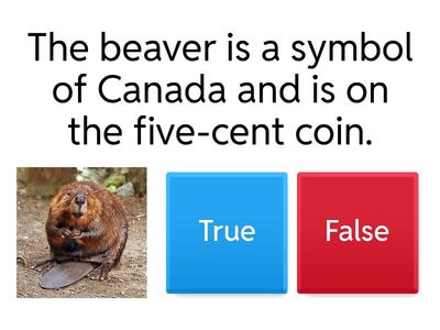 Canadian Money Quiz