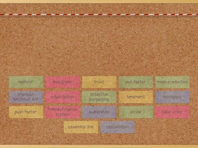 Big Business and Immigration Vocab 2025