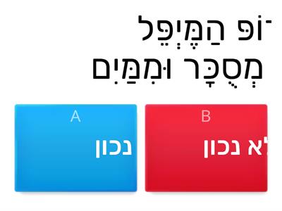 סירופ מייפל - נכון/לא נכון 