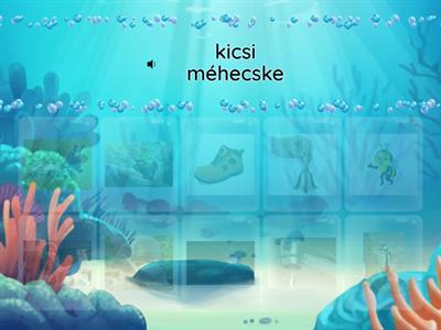 Cs hang szókapcsolatban