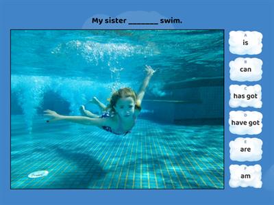 have has am is are can