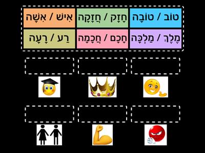 שמות תואר - יחידת פורים