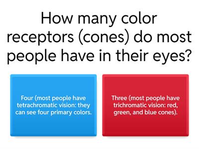 Unit 4 General Knowledge Quiz