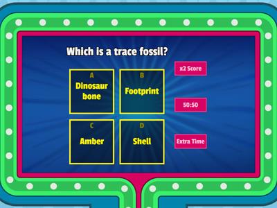 Fossils - Gameshow Quiz 