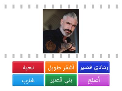 صفات الأسرة الصف الأول