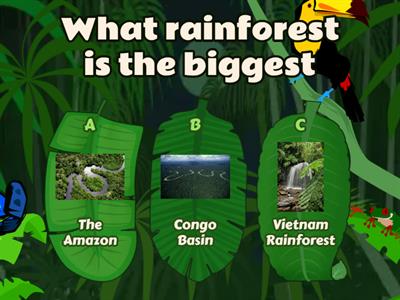 Rainforest Quiz, hope you enjoy.