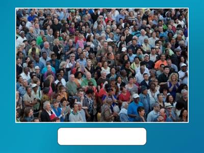 Plural nouns Regular and Irregular