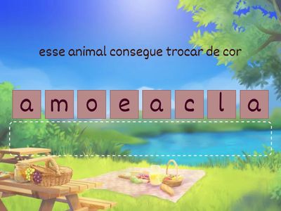animais e insetos