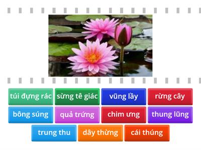 ung ưng | Tiếng Việt 1