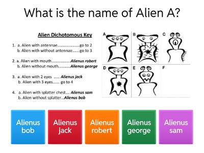 Wednesday Dichotomous Keys Practice Questions