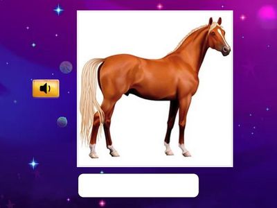 CP2  03 - Dictée de syllabes