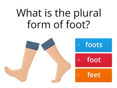 Irregular Plural Nouns Maca