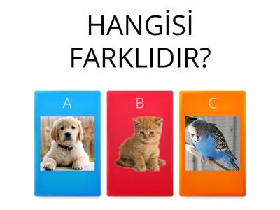 HANGİSİ FARKLIDIR?