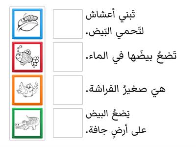 ضَع الصورة المُناسِبة في المكانِ المُناسب.