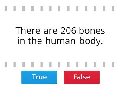 True or False - Skeleton