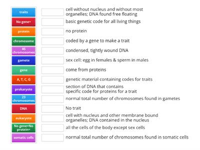 Genetics 7.14C