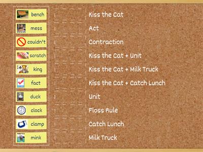 Barton Level 3 Spelling Rules match review