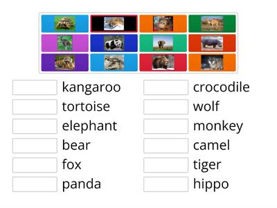 AS2 U1 Animals match (+AS1 Animals)