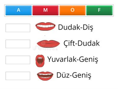 Ünlü ve ünsüzlerin çıkış yeri ve şekilleri- Çene açısı ve dudakların durumu (A-O-F-M sesleri)