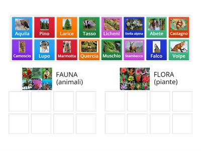 FLORA E FAUNA MONTAGNA