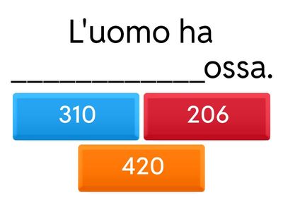 IL SISTEMA SCHELETRICO