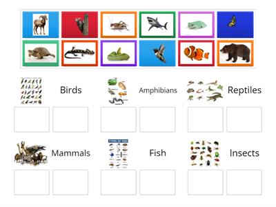 Types of Animals