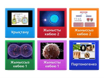 Ағылшын тіліне аудармасы бар порно көру