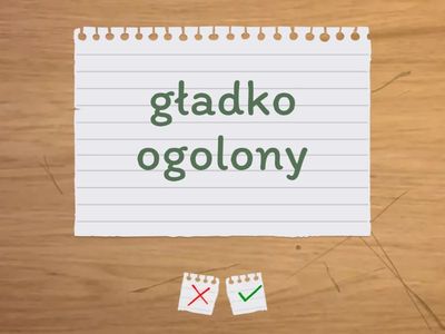 Unit 1-New Password B2