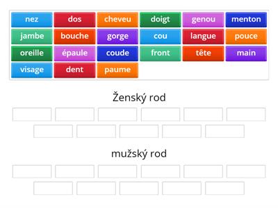 Les parties du corps