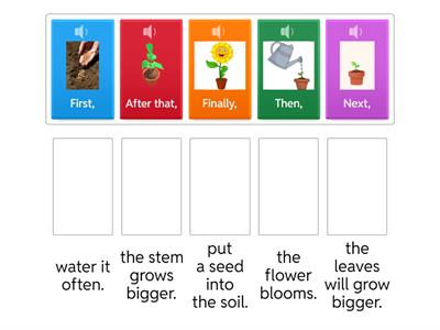  1 U2W2 Growing a Sunflower 