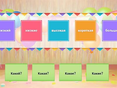 Какой?/Какая?/Какое?/Какие? Сорока 1 урок 9