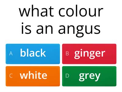 Certified Irish angus