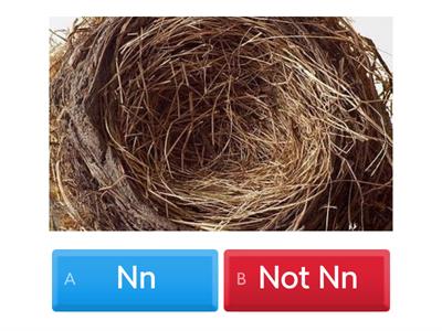 WALZ Letter Sound 'N'