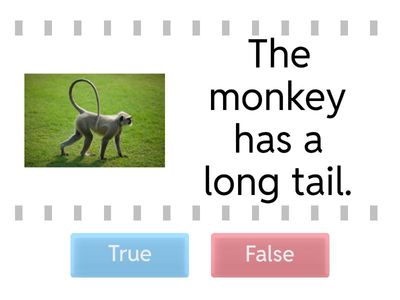 Animal body parts practice