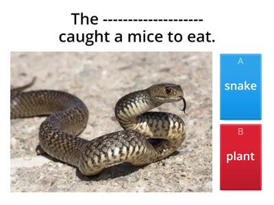  Grade 5-unit 5-lesson 1