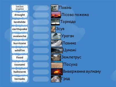 Is the Earth in Danger 10 grade Карпюк