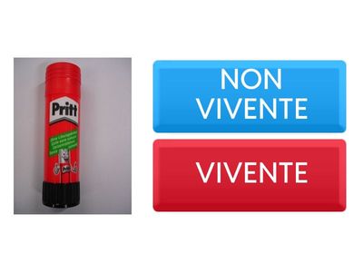 Viventi - Non viventi