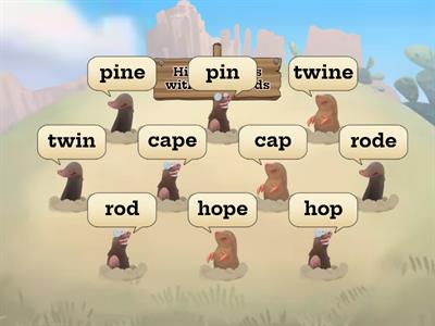 Words with Long Vowel Sounds