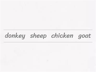 Alphabetical order Entry 3 English