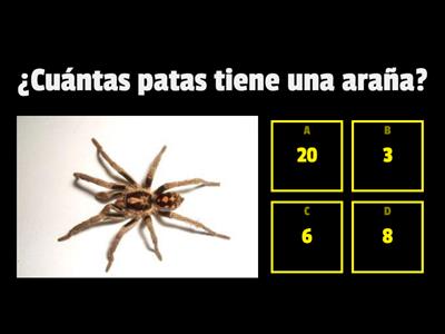 Actividad 1-2 Basico 