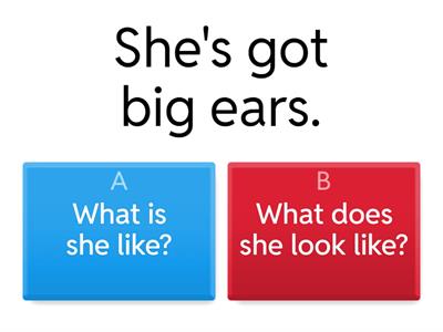 What is she like/What does she look like?1